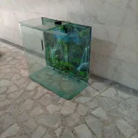 شیشه خمه آکواریوم همراه با متعلقات|ماهی|رشت, نظری|دیوار