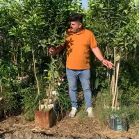 نهال نهالستان درخت گل گرمسیری سردسیری بدون واسطه|خدمات باغبانی و درختکاری|قم, تعویض پلاک|دیوار
