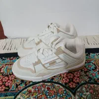 کفش کار|کیف، کفش، کمربند|کلاچای, |دیوار