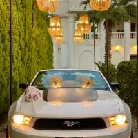 اجاره فورد موستانگ کروک|خدمات پذیرایی، مراسم|رشت, استقامت ۱|دیوار