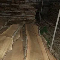 فروش چوب گردو