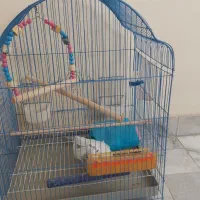 قفس پرنده