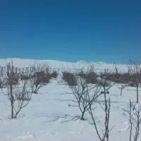 زمین کشاورزی