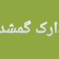 مدارک گمشده