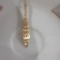 یک لنگ گوشواره طلاپیداشده