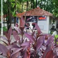 استخدام همکار کافه فست فود طاهباز