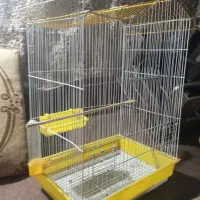 قفس پرنده|لوازم جانبی حیوانات|ماسال, |دیوار