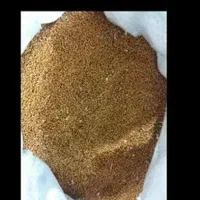 خریدار جو گوسفندی