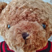 خرس کادویی|کلکسیون و سرگرمی|تهران, شهر زیبا|دیوار