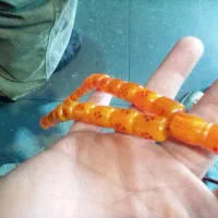 تسبیح سندلوس