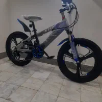 دوچرخه شرکتی (سایز۲۰)|دوچرخه، اسکیت، اسکوتر|تربت‌حیدریه, میدان مرکزی|دیوار