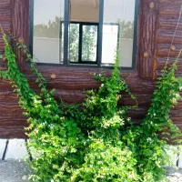 کاریابی و هم کاری