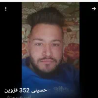 کبوتر پلاکی|پرنده|الوند, |دیوار