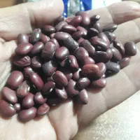 لوبیا قرمز بسته بندی900گرمی|خوردنی و آشامیدنی|کرج, شهر صنعتی|دیوار