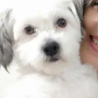 گمشده