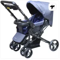 کالسکه و کریر دلیجان