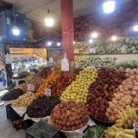 به بارچین حرفه ای و با تجربه میوه فروشی نیازمندیم