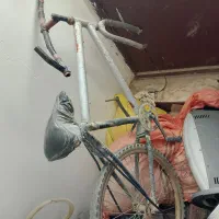 دوچرخه حرفه ای|دوچرخه، اسکیت، اسکوتر|ایرندگان, |دیوار