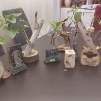 فروش و سفارش گیری انواع گلجا