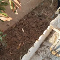 خاک باغچه،کود حیوانی گاوی، کل شیراز|خدمات باغبانی و درختکاری|شیراز, شهرک فرهنگیان|دیوار