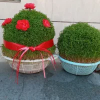سبزه