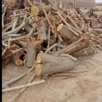 خرید چوب با بالاترین قیمت تسویه سر باسکول|خدمات باغبانی و درختکاری|زنجان, |دیوار