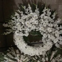 گل طبیعی