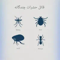 خاک دیاتومیت (ساس و سوسک کش غیره سمی) Food Grade|گل و گیاه طبیعی|تهران, باغ فیض|دیوار