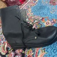 پوتین نو نو