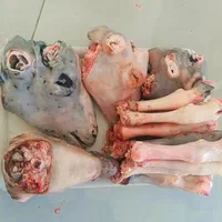 گوشت بره نرینه درجه یک کیلویی 630|عمدهفروشی|بجنورد, |دیوار