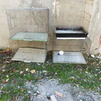 قفس پرندع سالم