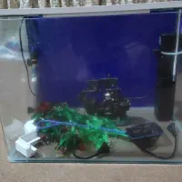 اکواریوم شرکتی.