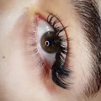 انواع خدمات مژه|خدمات آرایشگری و زیبایی|شیراز, دارالرحمه|دیوار