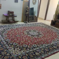 فرش ۱۲متری لاکی خوشرنگ|فرش|رودهن, |دیوار