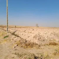 باغ انگور|فروش دفتر صنعتی، کشاورزی، تجاری|باروق, |دیوار