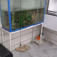 ا یک عدد اکوریوم با تمام وسایل