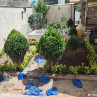 خدمات باغبانی تعویض خاک گلدون کاشت گل  باغبان