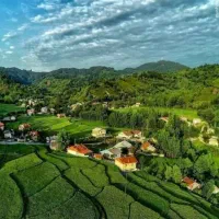 راهنمای مهاجرت به گیلان