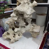 لوازم آکواریوم ماهی صخره طبیعی|ماهی|قزوین, |دیوار