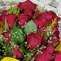 اجاره خانه پنجاه متری