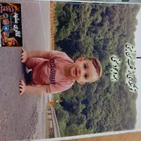 فرش قالیچه|فرش|مشهد, شهید بصیر|دیوار