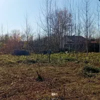 زمین|فروش زمین و ملک کلنگی|سنگر, |دیوار