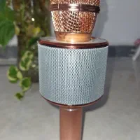 اسپیکر میکروفونی