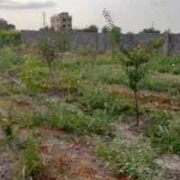 فروش باغ روستای زیبا وسرسبز والش آباد|فروش زمین و ملک کلنگی|گرگان, |دیوار