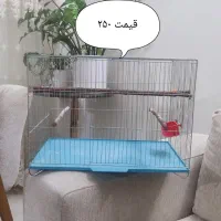 سه عدد قفس در سایز مختلف همگی سالم