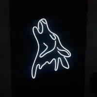 نئون زیبا و با دوام بالا