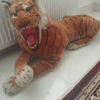 ببر|اسباب‌‌بازی|میاندوآب, |دیوار