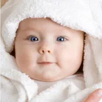 گم کردن مدارک (زهرا قنبری)