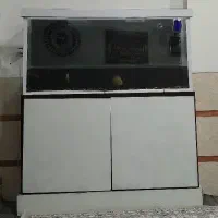 آکواریوم|ماهی|تربت جام, جامی|دیوار