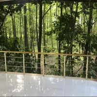 ویلا صفر جنگل/از تراس شاخ و برگ درخت جنگل لمس کنید|فروش خانه و ویلا|نور, |دیوار